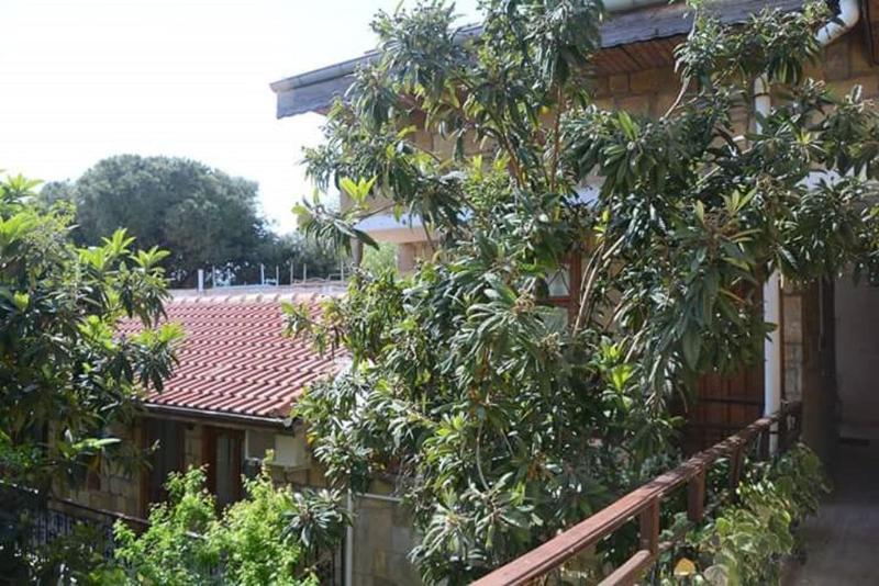 Antonios Motel Side Kültér fotó